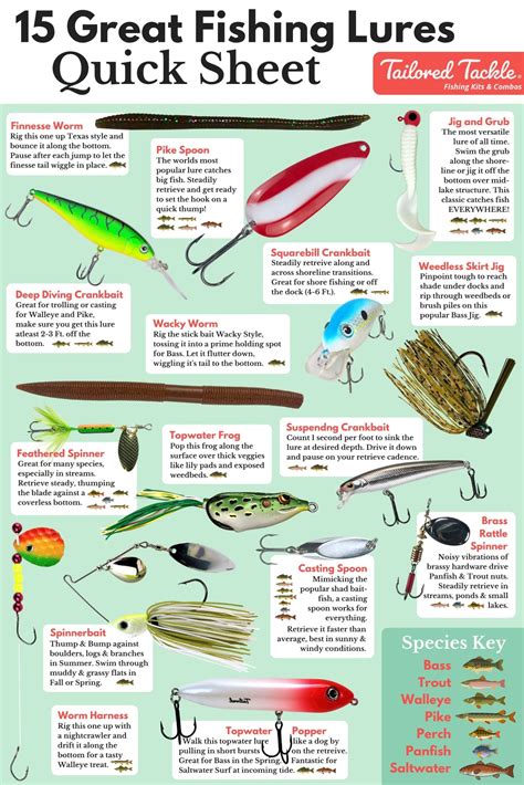 Magic Fin Baits: The Key to Catching Elusive Fish